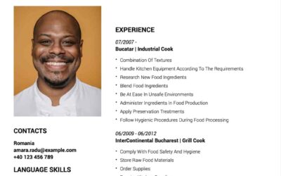 About the CVforU.eu CV Builder